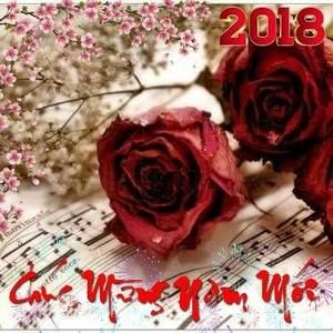 Meet your Posher, Thuy